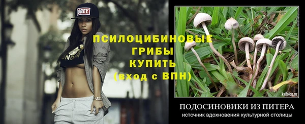 МДПВ Алексеевка